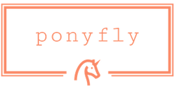 Ponyfly
